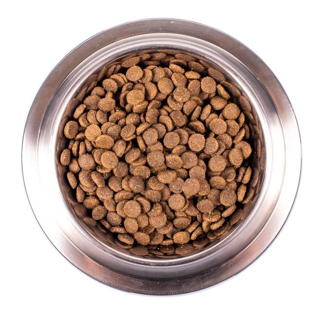 Каталог Сухой корм для щенков Monge Speciality Puppy & Junior All Breeds (ягнёнок и рис) для собак