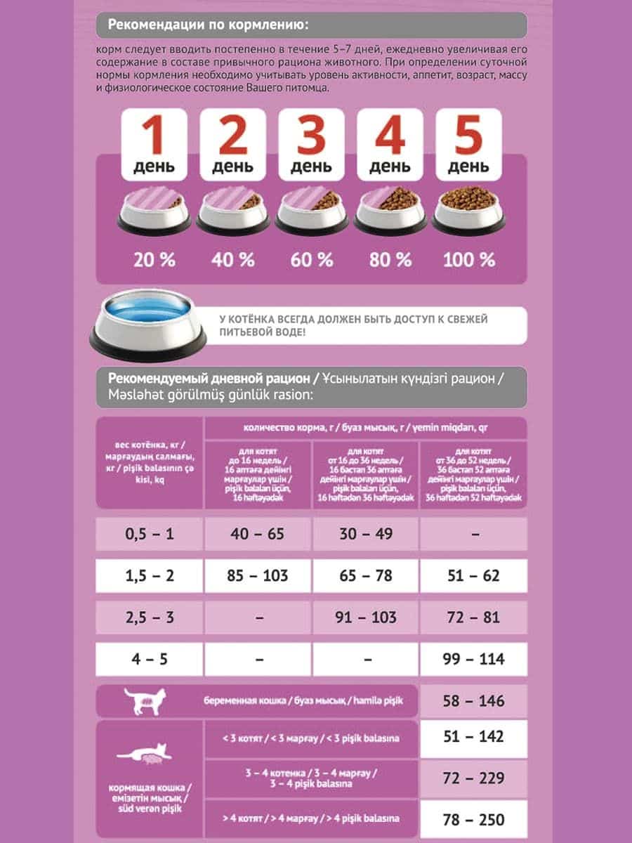 Сухой рацион для котят ProBalance 1'st Diet Kitten