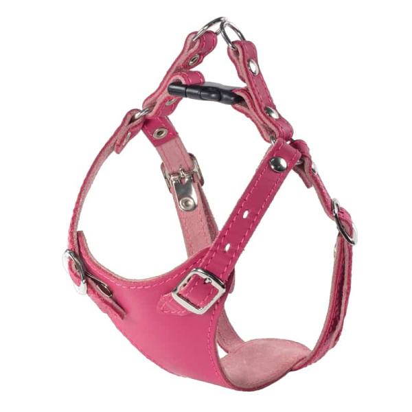 Шлейка кожаная для собак "Белла"