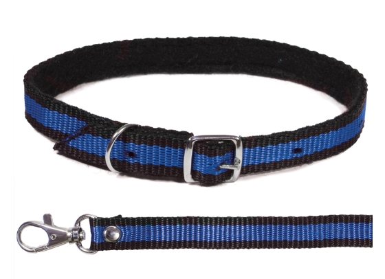 Комплект ошейник и поводок из капрона Gamma