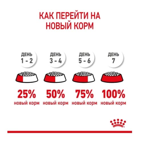 Royal Canin Kitten полнорационный сухой корм для котят и кошек 