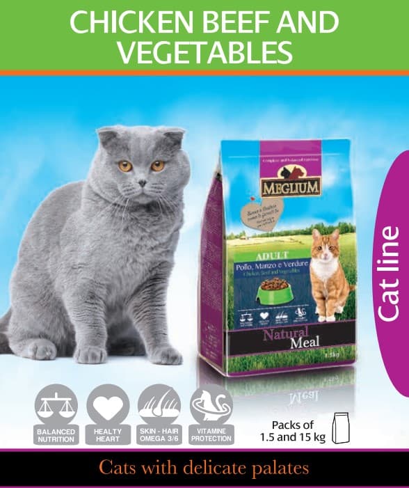 Пища для котов Сухой корм для кошек Meglium Adult Cat (курица, говядина, овощи)