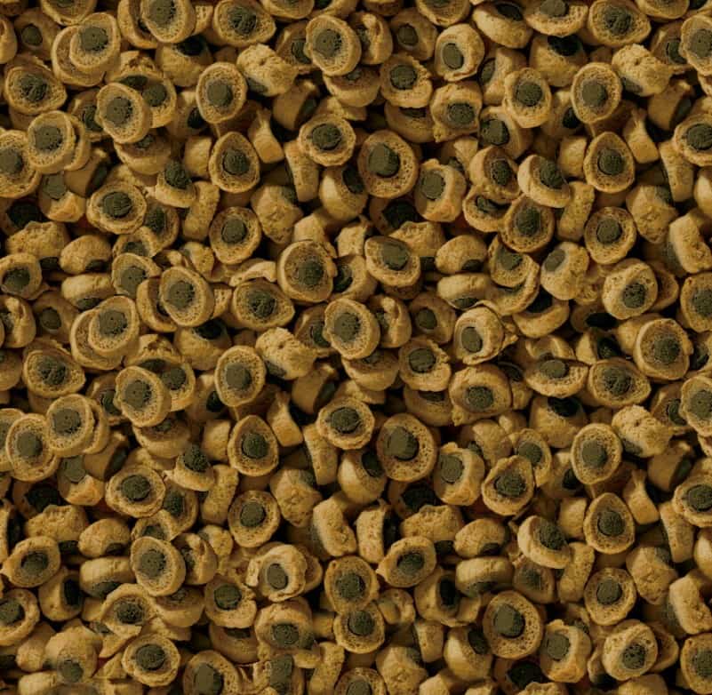 Корм для растительноядных рептилий SERA Reptil Professional Herbivor