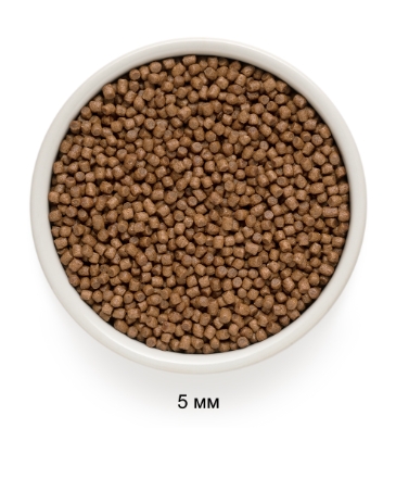 Сухой корм для котят Grandorf Kitten (ягненок, индейка) полнорационный корм для котят от 3 месяцев 