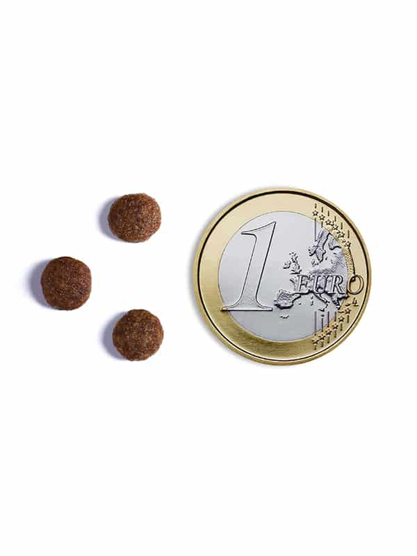 Пища для стерилизованных кошек Ambrosia Grain Free Sterilized Cat (курица, лосось)