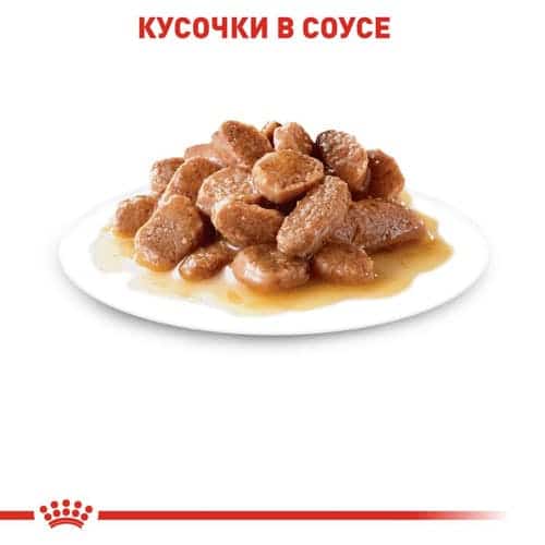 Влажное питание для кошек  Royal Canin Light Weight Care в соусе 