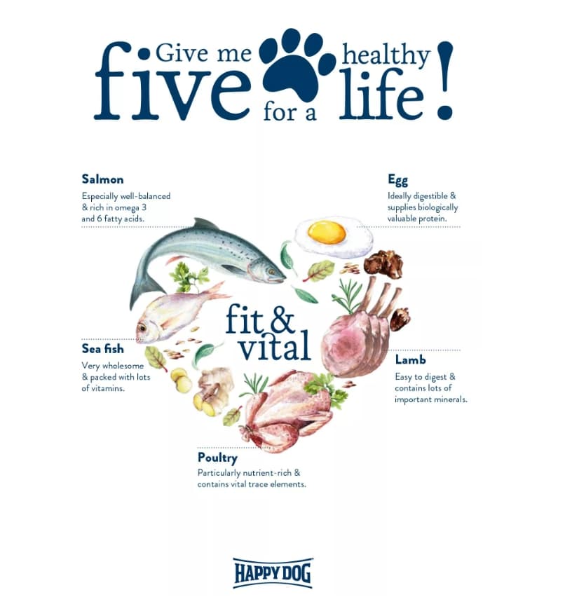 Каталог Сухой корм для собак HAPPY DOG Supreme Senior для собак