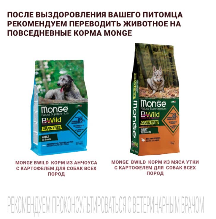 Диетическое питание для собак Monge VetSolution Hepatic Dog