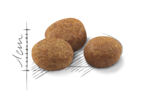 Сухой корм для кошек Royal Canin Sterilised +7 полнорационный сухой корм для стерилизованных кошек