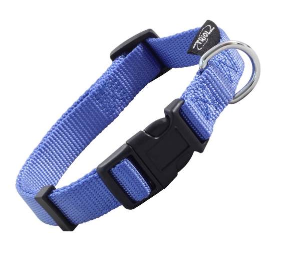 Ошейник нейлоновый для собак "Стандарт" (синий)
