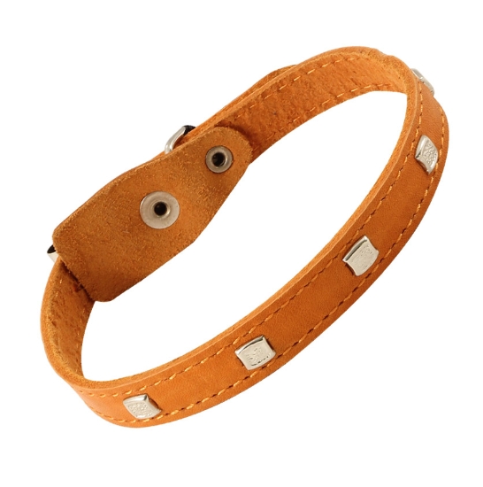 Ошейник кожаный с украшением Gamma