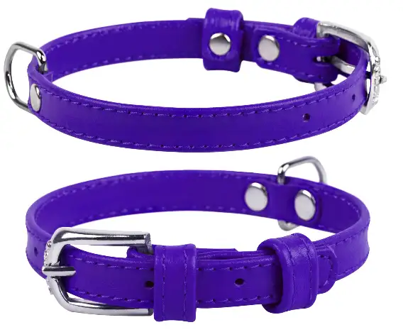 Ошейник для собак "CoLLaR Glamour"