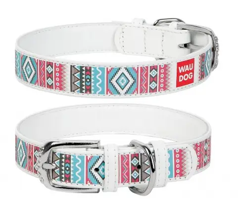 Ошейник с рисунком ЭТНО "WAUDOG"