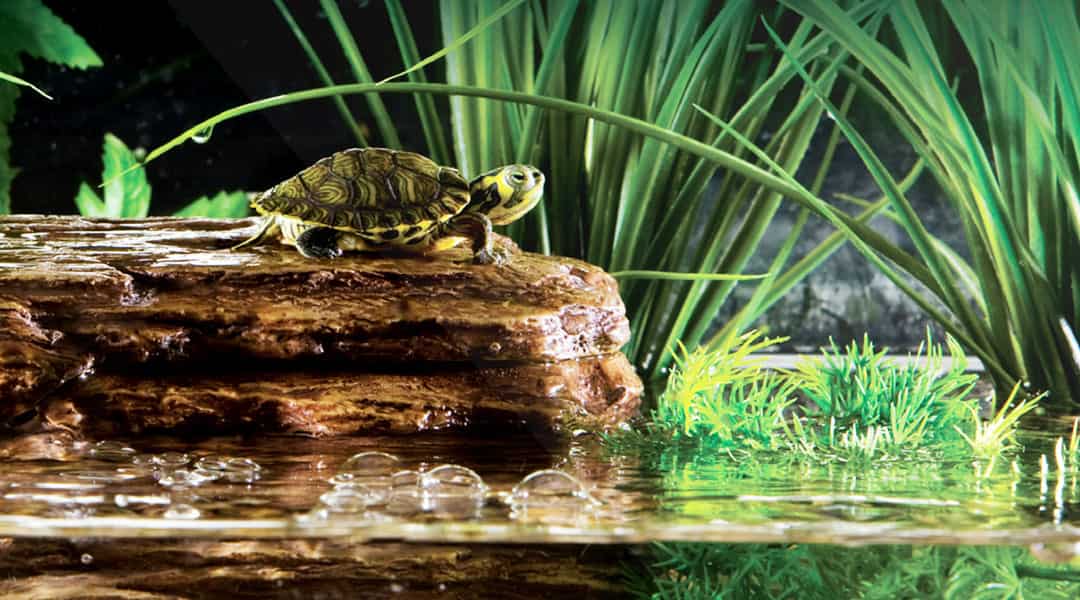 Скала черепашья с фильтром для воды Turtle-Cliff 22x16x19.5 см (PT3650)