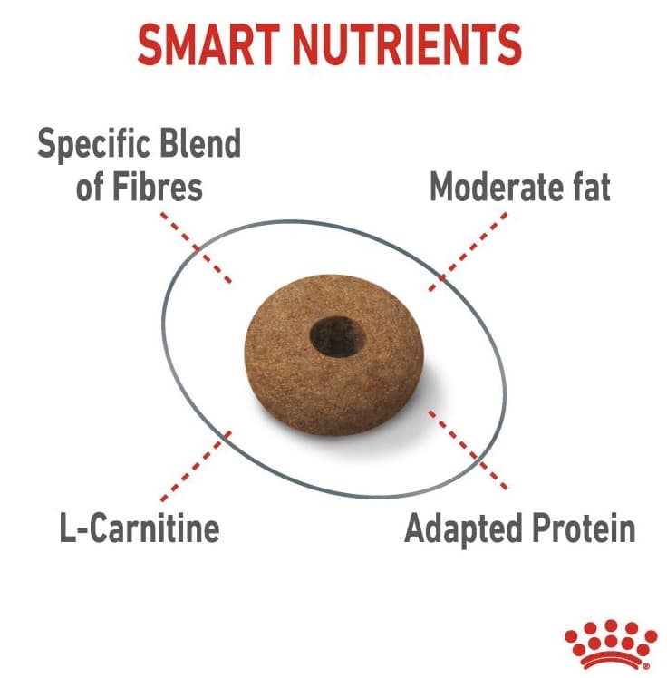 Сухой корм для кошек Royal Canin Appetite Control Care полнорационный корм для кошек выпрашивающих корм 