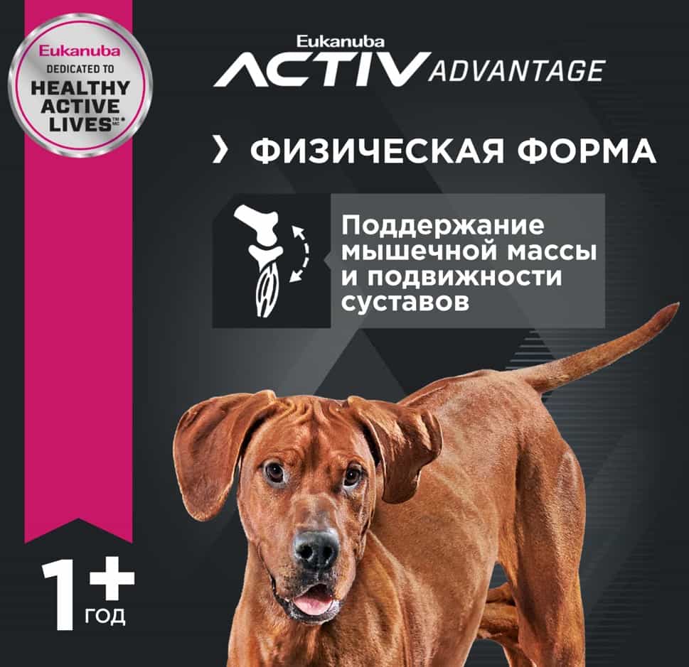 Питание для крупных пород собак Сухой корм для собак Eukanuba Adult Large Breed (птица)
