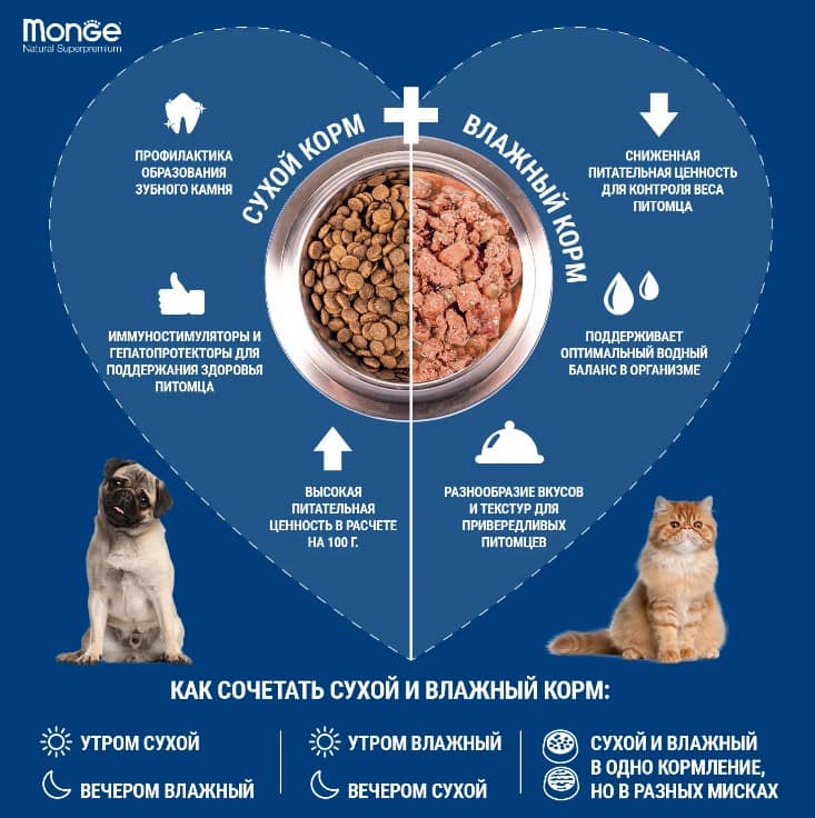 Еда для кошек и котов Monge Cat Monoprotein (мясные хлопья из индейки)