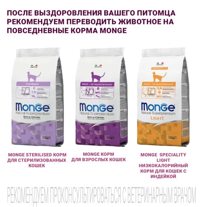 Лечебное питание для кота Monge VetSolution Gastrointestinal Cat