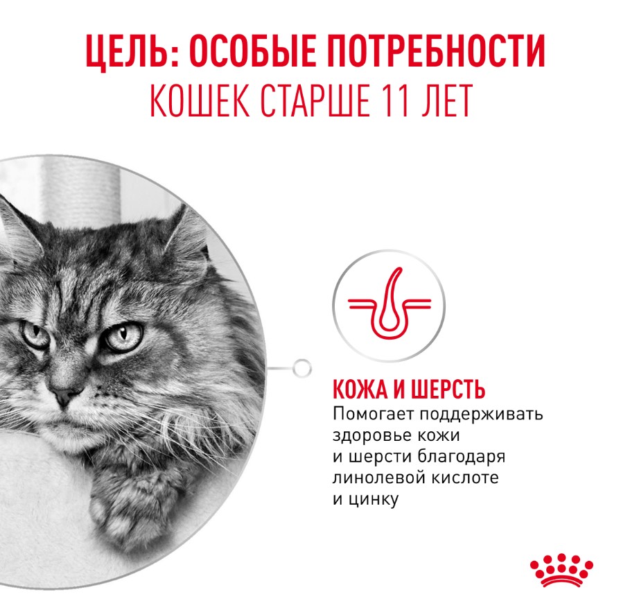 Сухой корм для пожилых кошек Royal Canin Ageing 11+