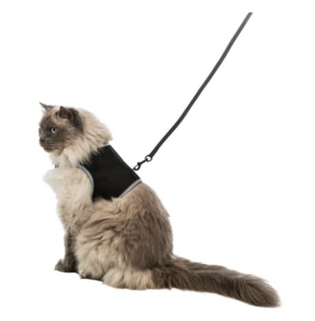 Набор для кошек "TRIXIE" шлея 36-54 см + поводок 1.2 м (41895)