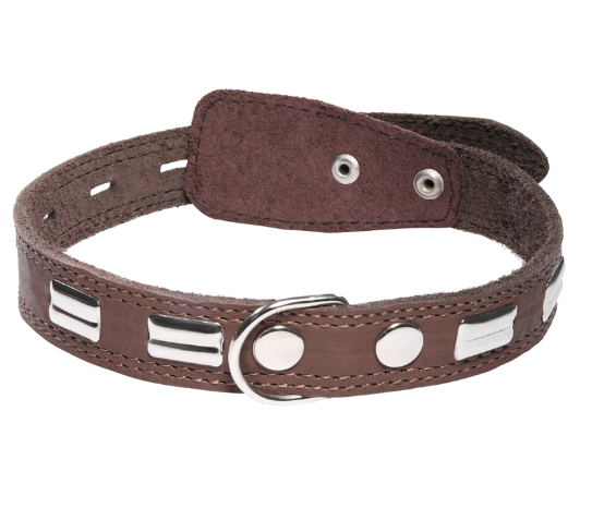 Ошейник кожаный c кольцом и украшением Gamma