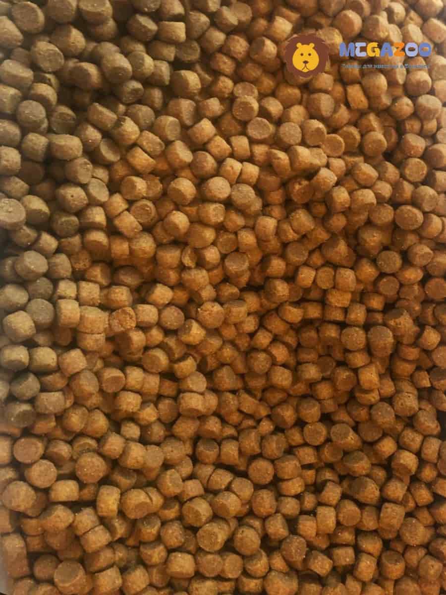 Сухой рацион для собак мини пород ProBalance Dog Immuno Adult Mini