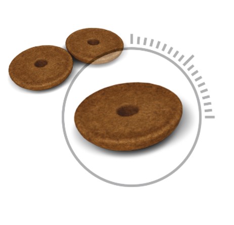 Сухой корм для кошек Royal Canin Digestive Care для кошек с чувствительной пищеварительной системой в возрасте от 1 до 12 лет.