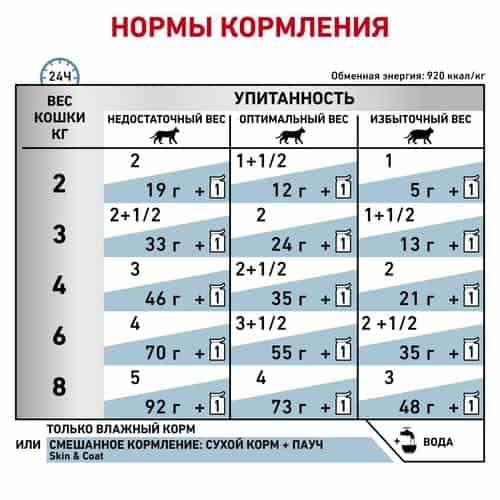 Еда для кота Влажный корм для кошек Royal Canin Skin & Coat Formula