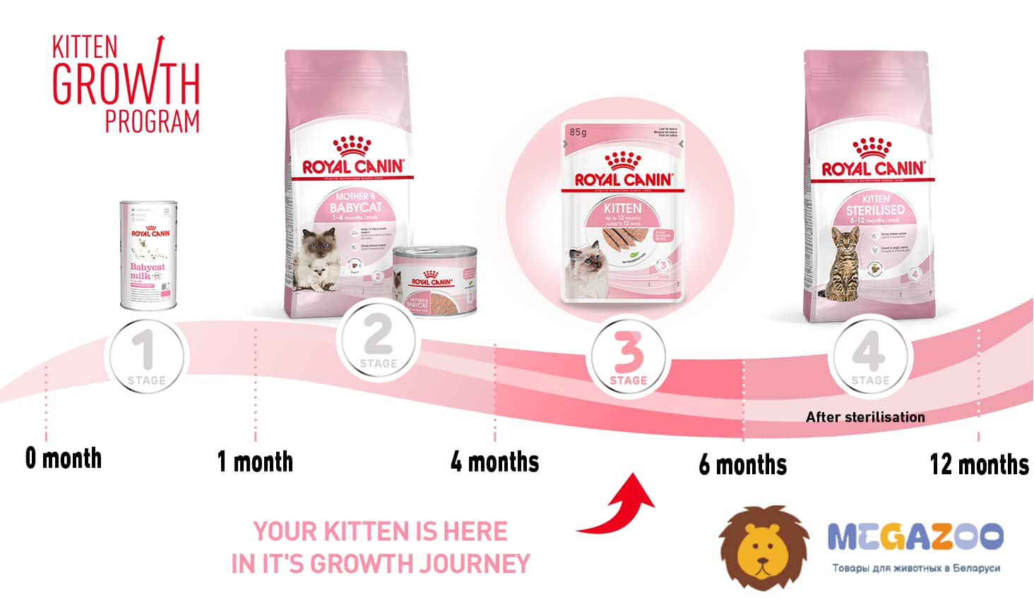 Консервированный корм для котят и кормящих кошек Royal Canin Babycat Instinctive