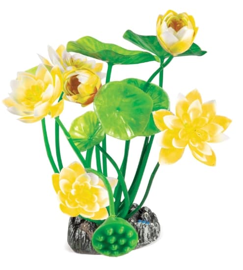 Растение "Нимфея" желтая 200 мм Laguna (74044198)