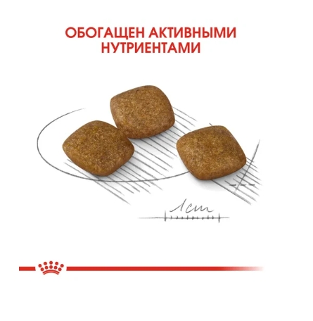 Еда для собак Сухой корм для собак Royal Canin Mini Relax