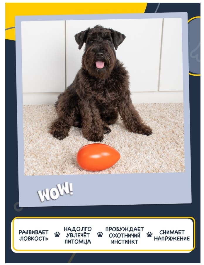 FANCY PETS Игрушка для собак Неуловимое яйцо