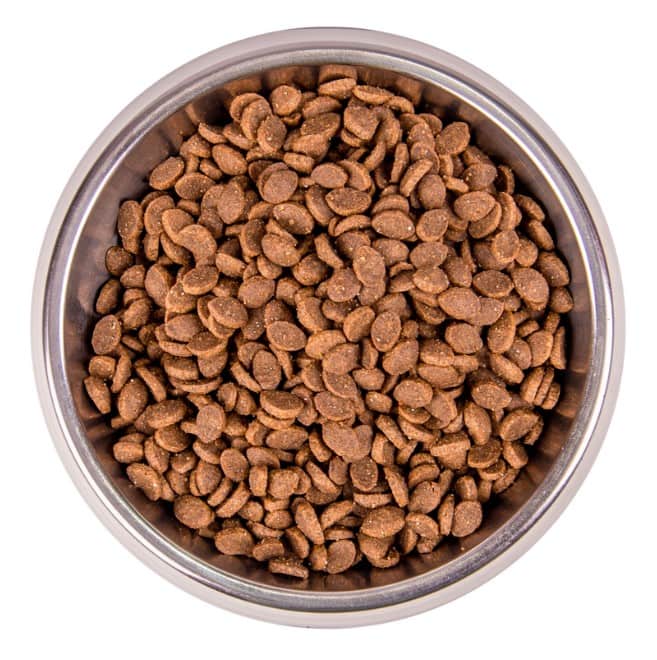 Сухой корм для кошек Monge Cat Bwild Low Grain Adult (анчоус)