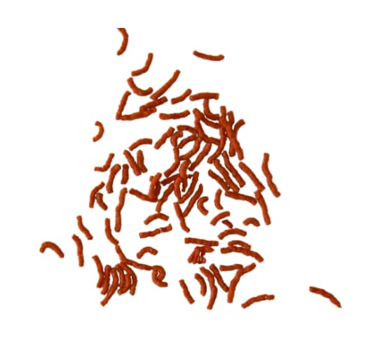 Корм для рыбок Tetra Betta Larva Sticks