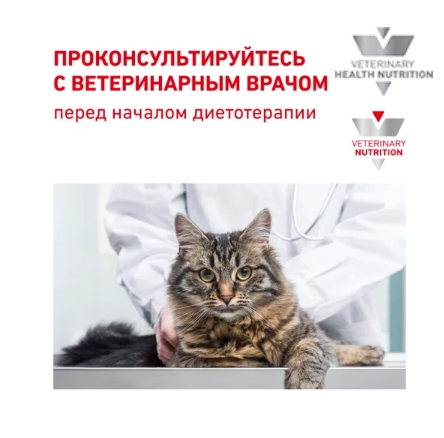 Сухой корм для кошек Royal Canin Mobility MC28