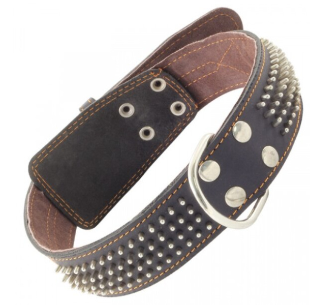 Ошейник для собак c кольцом и украшением Gamma "Ёж" 45 мм*770 мм (11232042)