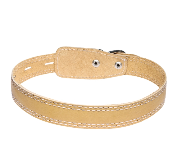 Ошейник кожаный Gamma 25 мм*580 мм