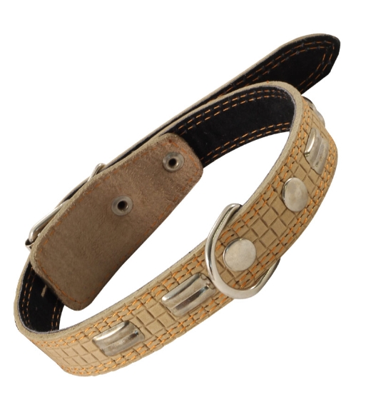 Ошейник кожаный двойной c украшением Gamma 25х580 мм