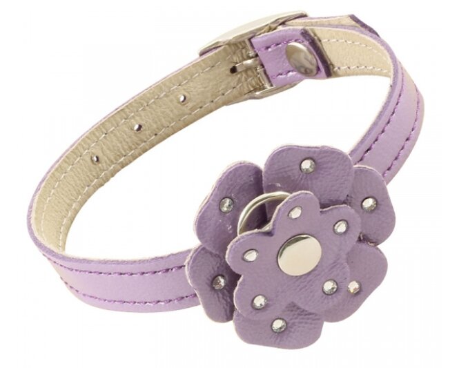 Ошейник-мини для собак кожаный двойной Gamma «Цветок» со стразами 10 мм*250 мм (11232090)