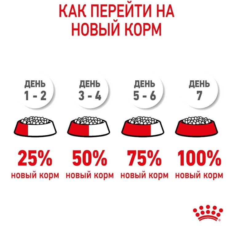 Еда для щенков Сухой корм для щенков Royal Canin X-Small Puppy