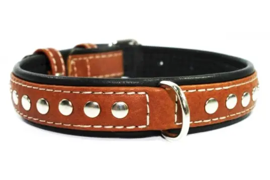 Ошейник с украшениями "CoLLaR SOFT"