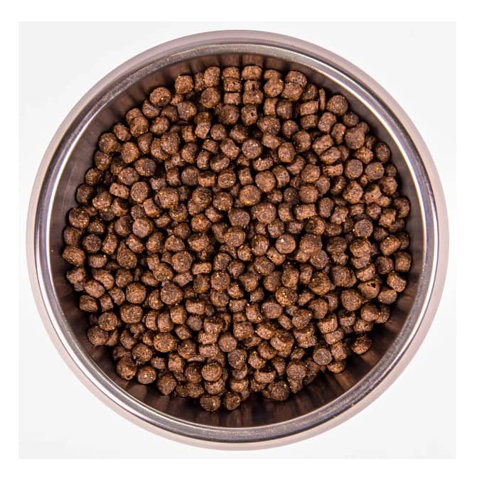 Каталог Сухой корм для собак Monge Dog Extra Small Adult (ягненок,рис,картофель) для собак