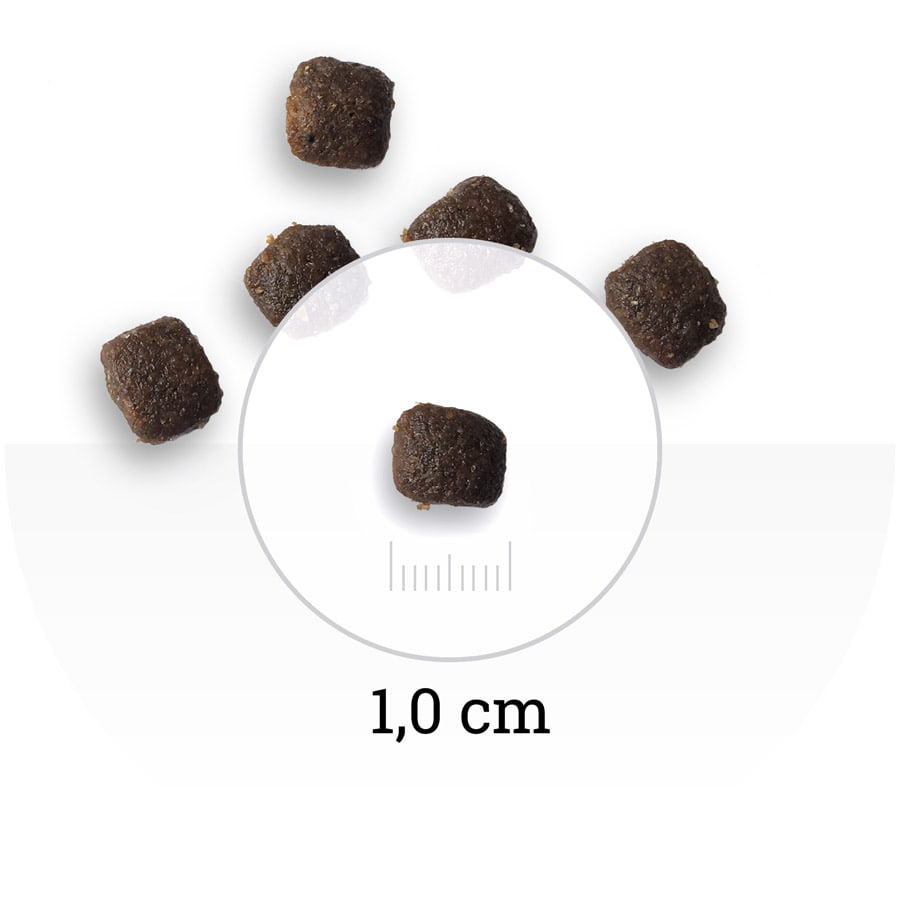 Кошачий корм Bon Appetit CAT Adult Sensitive (лосось, курица)