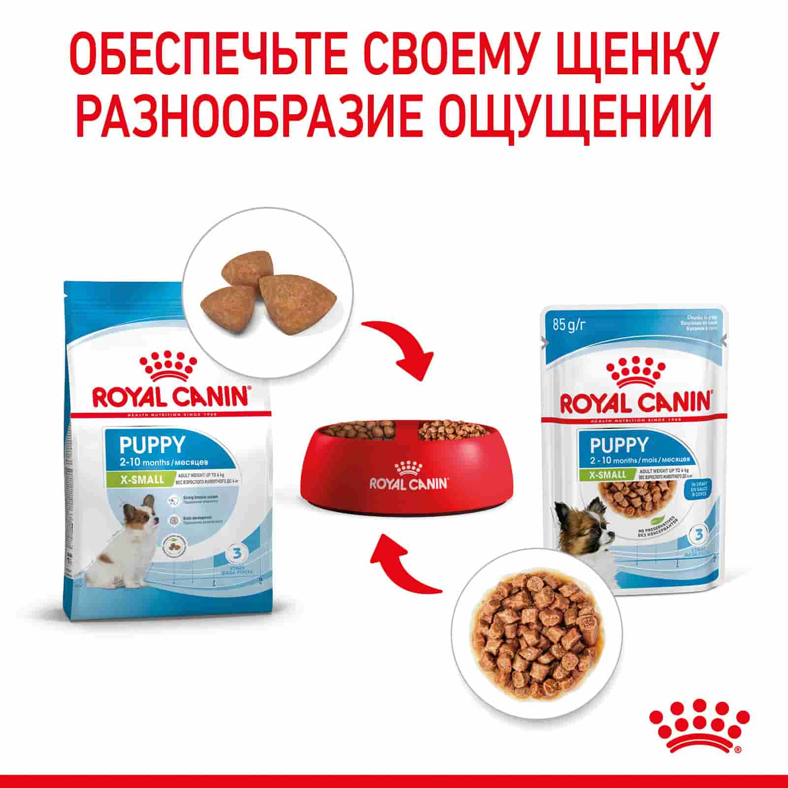Влажный корм для щенков мелких пород Royal Canin X-Small Puppy (соус)