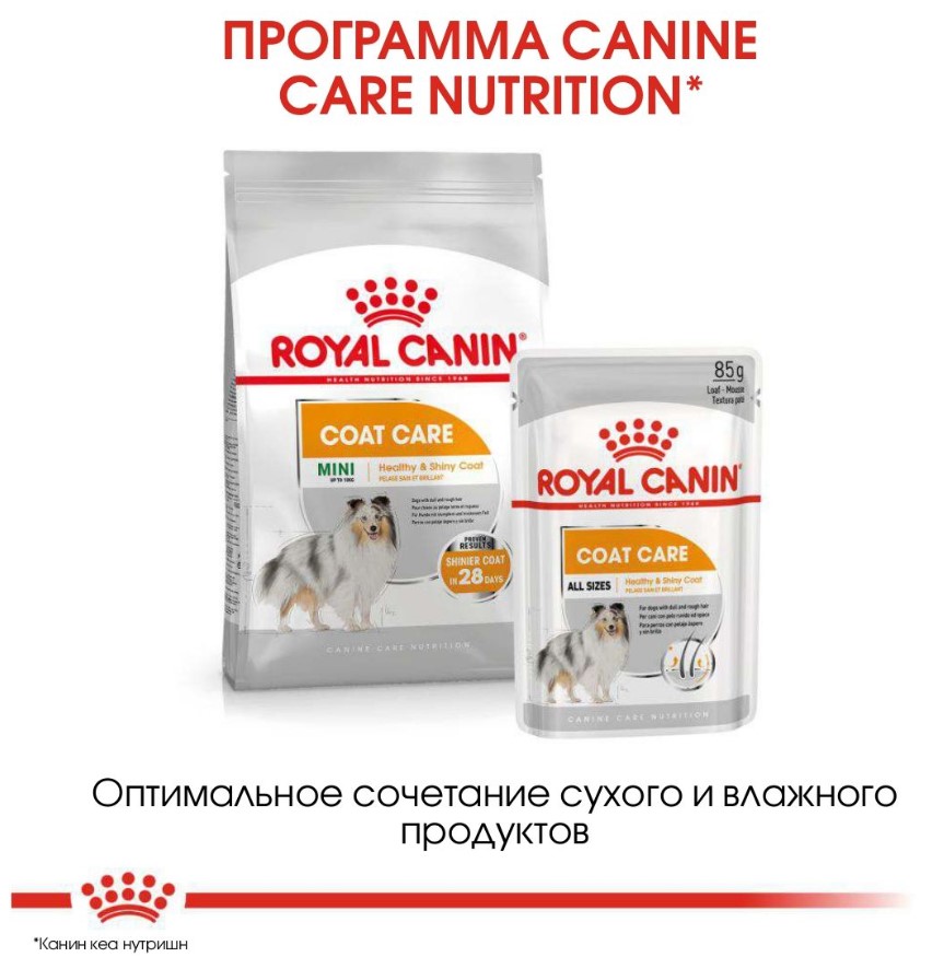 Еда для собак Сухой корм для собак Royal Canin Mini Coat Care