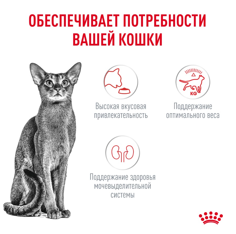 Корм сухой для привередливых кошек Royal Canin Fussy