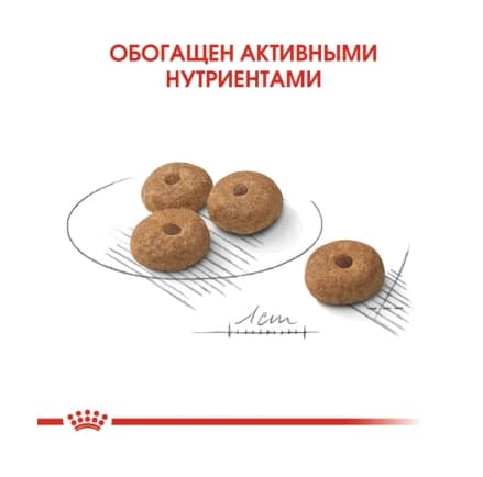 Еда для собак Сухой корм для собак Royal Canin Mini Sterilised