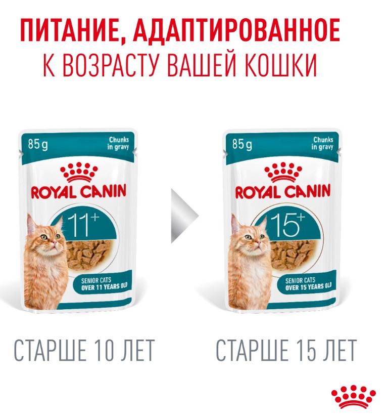 Влажный корм для пожилых кошек Royal Canin Ageing 11+ (кусочки в соусе)