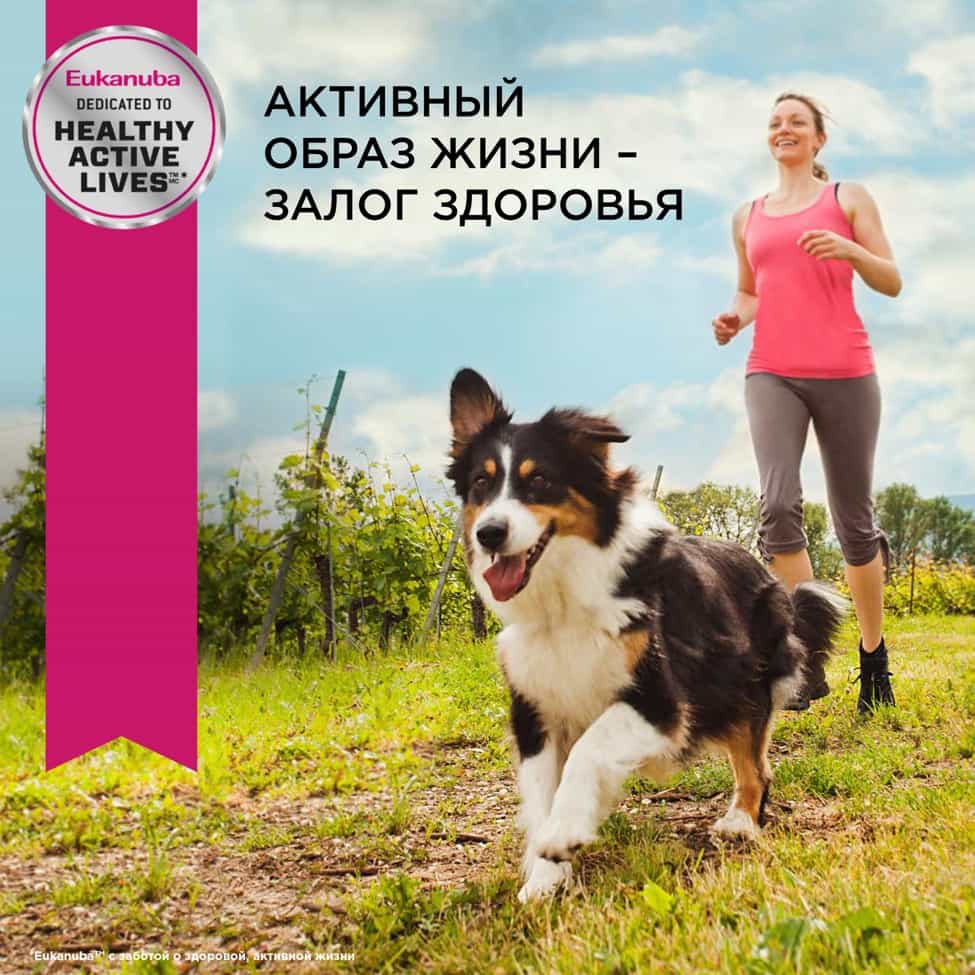 Пища для собак средних породСухой корм для собак Eukanuba Adult Medium Breed (птица)