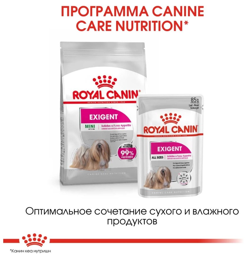 Еда для собак Сухой корм для собак Royal Canin Mini Exigent
